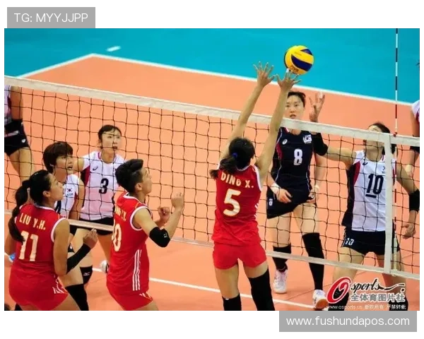 聚焦排球：探讨杭州排球队的实力与未来发展潜力