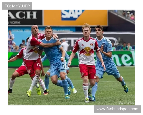 冰岛足球明星的崛起与成就探秘他们如何改变了国家的足球历史